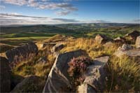 1055 Combs Heather Chris Gilbert, Ravenseye Gallery, Peak District, Photographs, Courses